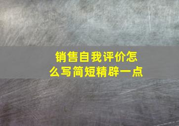 销售自我评价怎么写简短精辟一点