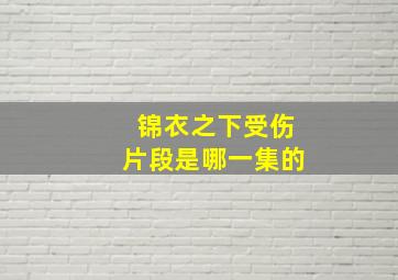 锦衣之下受伤片段是哪一集的