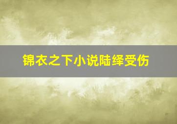 锦衣之下小说陆绎受伤