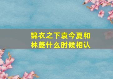 锦衣之下袁今夏和林菱什么时候相认