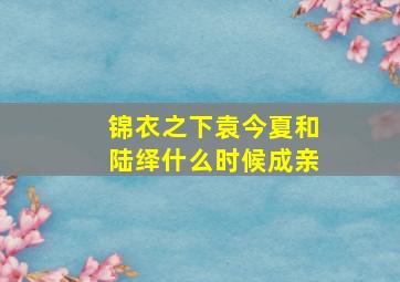 锦衣之下袁今夏和陆绎什么时候成亲