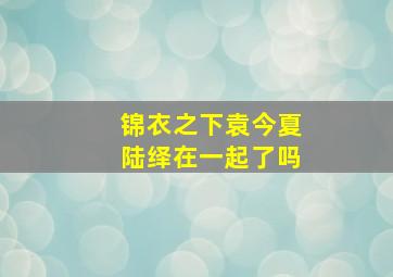 锦衣之下袁今夏陆绎在一起了吗