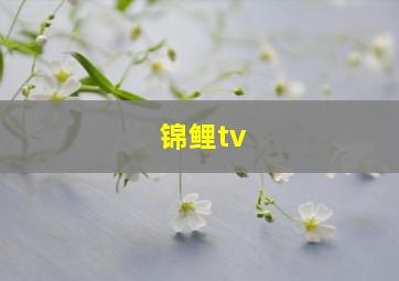 锦鲤tv