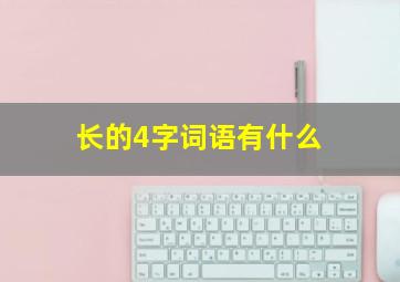 长的4字词语有什么