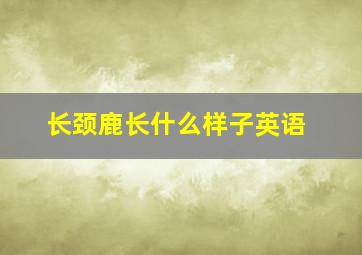 长颈鹿长什么样子英语