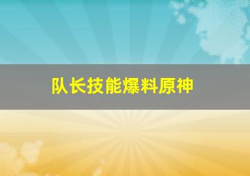 队长技能爆料原神