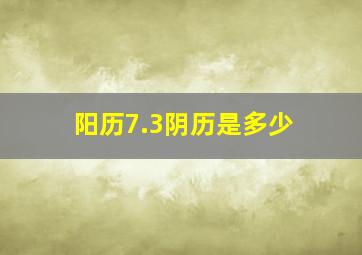 阳历7.3阴历是多少