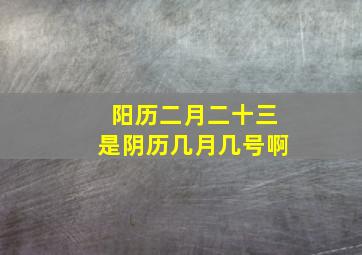 阳历二月二十三是阴历几月几号啊