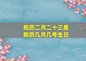 阳历二月二十三是阴历几月几号生日