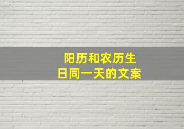 阳历和农历生日同一天的文案