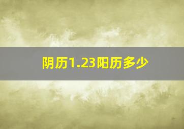 阴历1.23阳历多少