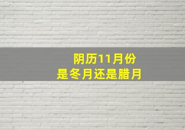 阴历11月份是冬月还是腊月