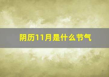 阴历11月是什么节气