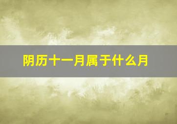 阴历十一月属于什么月