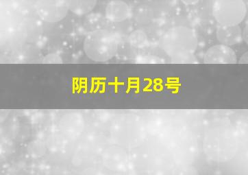 阴历十月28号