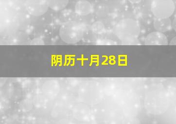 阴历十月28日