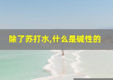 除了苏打水,什么是碱性的