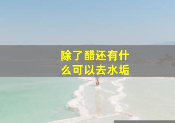 除了醋还有什么可以去水垢