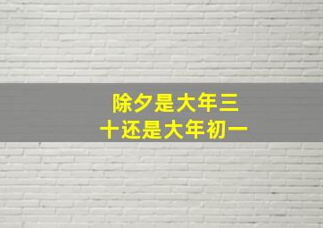 除夕是大年三十还是大年初一