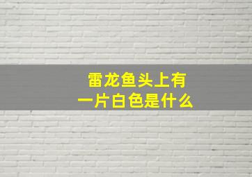 雷龙鱼头上有一片白色是什么