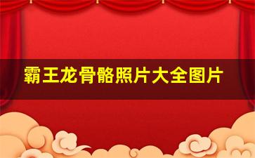 霸王龙骨骼照片大全图片