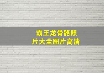 霸王龙骨骼照片大全图片高清