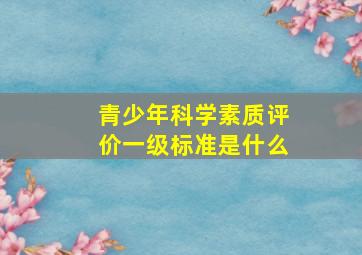 青少年科学素质评价一级标准是什么