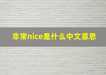 非常nice是什么中文意思