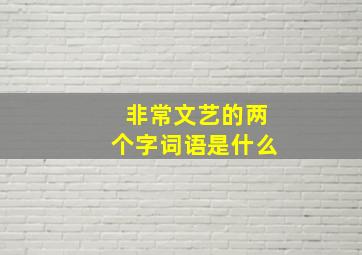 非常文艺的两个字词语是什么