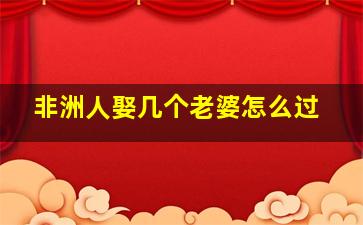 非洲人娶几个老婆怎么过