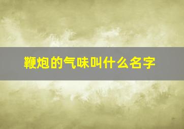 鞭炮的气味叫什么名字