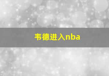 韦德进入nba