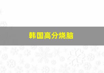 韩国高分烧脑