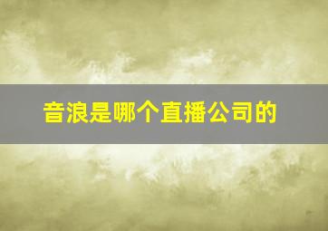 音浪是哪个直播公司的