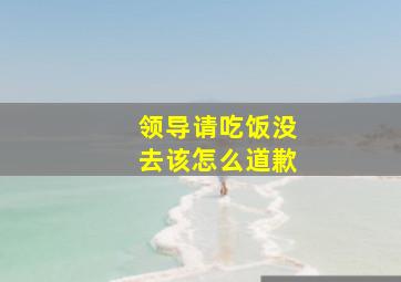 领导请吃饭没去该怎么道歉