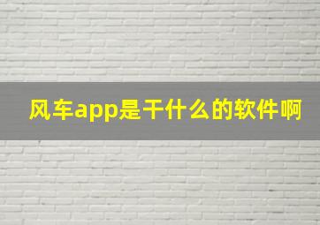 风车app是干什么的软件啊