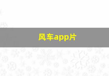 风车app片