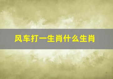 风车打一生肖什么生肖