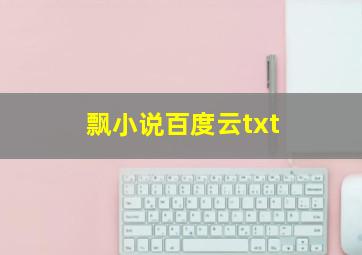 飘小说百度云txt