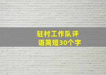 驻村工作队评语简短30个字