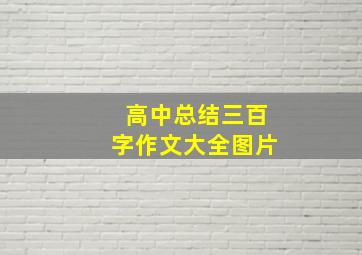 高中总结三百字作文大全图片