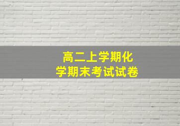 高二上学期化学期末考试试卷