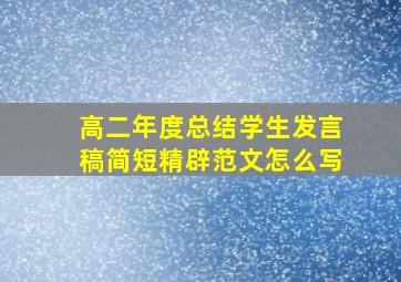 高二年度总结学生发言稿简短精辟范文怎么写