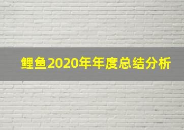 鲤鱼2020年年度总结分析