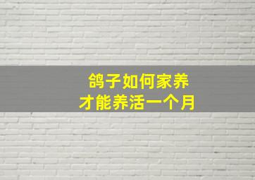 鸽子如何家养才能养活一个月