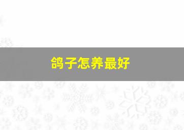 鸽子怎养最好