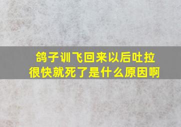 鸽子训飞回来以后吐拉很快就死了是什么原因啊