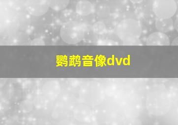 鹦鹉音像dvd