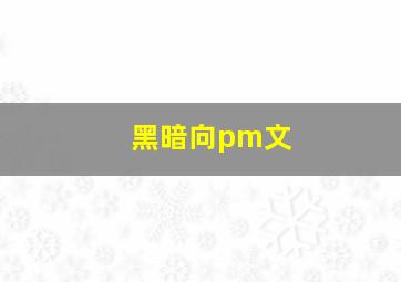 黑暗向pm文