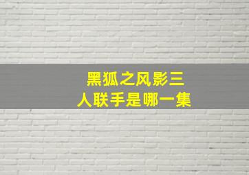 黑狐之风影三人联手是哪一集